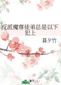 反派徒弟师尊