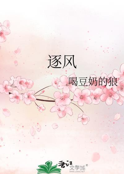 王者逐风装备