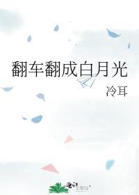 翻车翻成白月光冷耳免费阅读