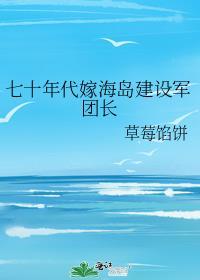 七十年代嫁海岛建设军团长人物介绍