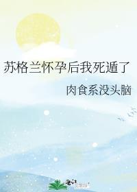 苏格兰怀孕后我死遁了TXT百度