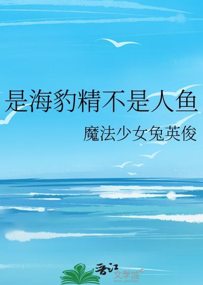 海豹眼里的人类