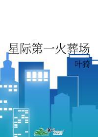 星际第一火葬场几个男主