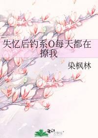 失忆后钓系o每天都在撩我染枫林未删减