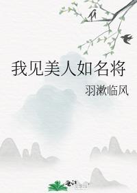 我见美人如名将免费阅读