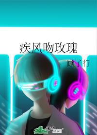 疾风吻玫瑰txt资源