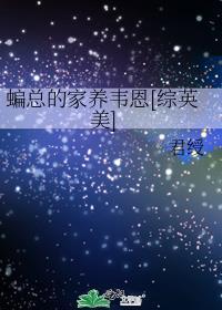 综英美蝙蝠家的孩子
