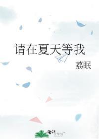 我在夏天等你作文