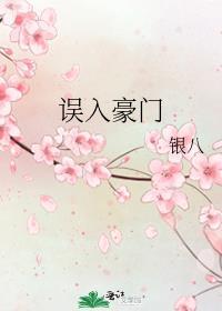 误入豪门南音音