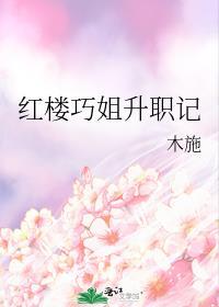 红楼梦电视剧巧姐第几集出生