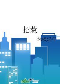 招惹电视剧免费观看全集完整版高清