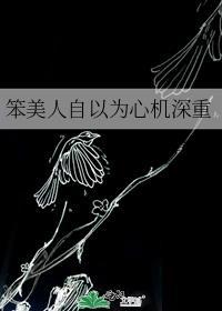 笨美人不会再爱了
