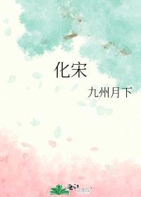 化宋讲的什么