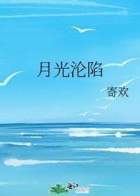 月光沦陷简介