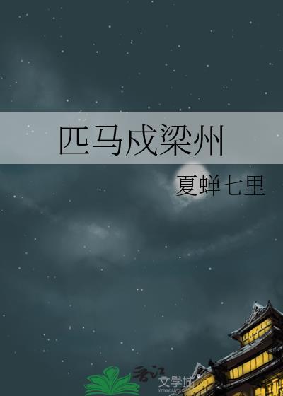 谁单枪匹马戍梁州