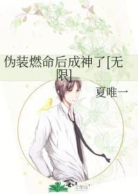 伪装zhe