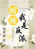 醒醒我是反派晋江