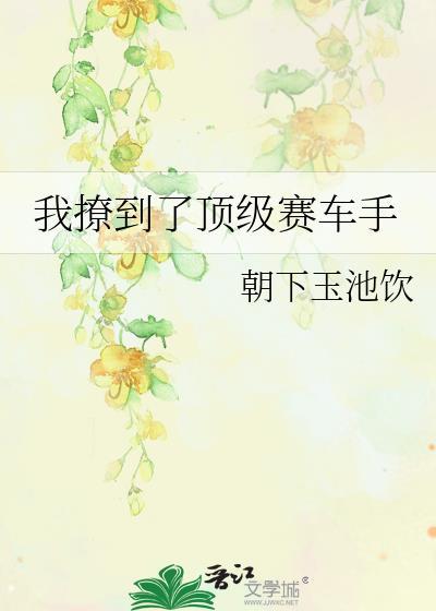 顶级赛车手漫画在线观看