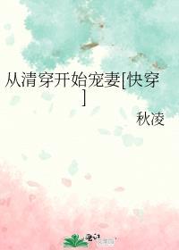 从清穿开始宠妻[快穿