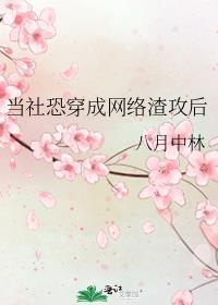 当社恐穿成网络渣攻后TXT