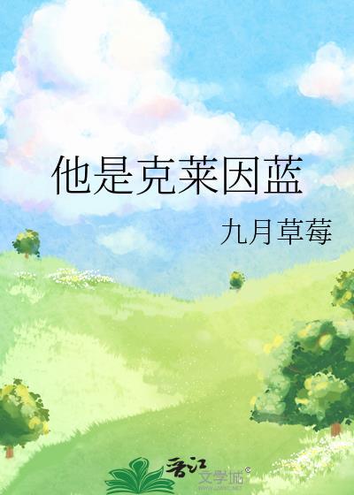 他是克莱因蓝讲了什么