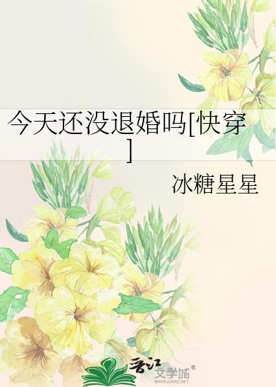 今天也没离婚by