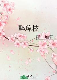 醉琼枝三皇子是谁