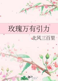 玫瑰万有引力txt百度txt