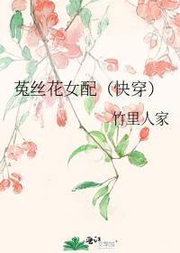 菟丝花女配(快穿)全文阅读作者竹里人家著
