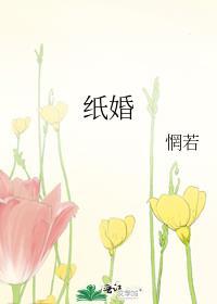 纸婚剧情介绍详细