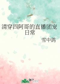 清穿之四阿哥主受