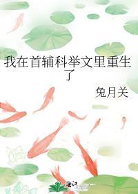 我在首辅科举文里重生了格格党