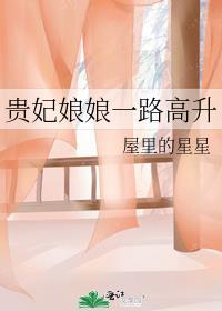贵妃娘娘一路高升笔趣阁
