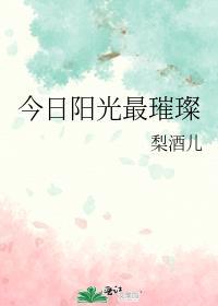 今日阳光电动车价格