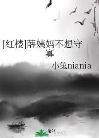 红楼薛姨妈空间