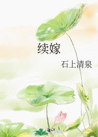 续嫁txt