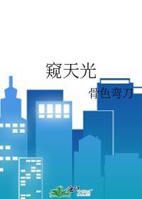 窥天光TXT