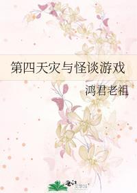 第四天灾系列