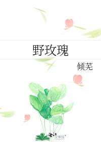 野玫瑰钢琴曲三级教学