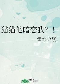 猫咪喜欢你是什么表现