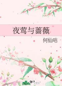 夜莺与蔷薇的寓意