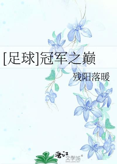冠军之巅节目