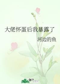 大佬怀里的