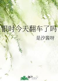 银时是s吗