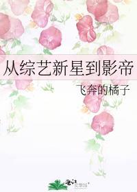 从综艺开始爆红
