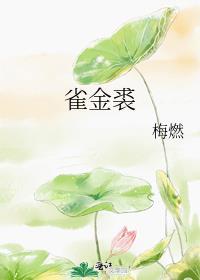 雀金裘红楼梦