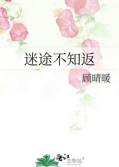 迷途不知返(25)