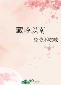 藏岭以南全文免费阅读无弹窗
