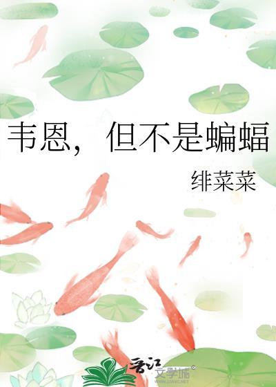 但不是蝙蝠综英美