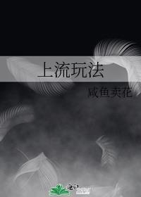 上流玩法by咸鱼卖花笔趣阁结局